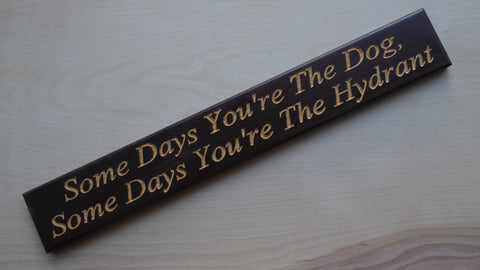 Some Days You're The Dog, Some Days You're The Hydrant