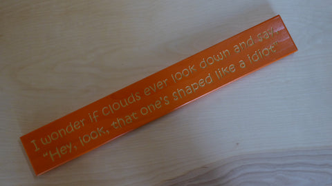 I wonder if clouds ever look down and say, “Hey, look, that one’s shaped like a idiot”