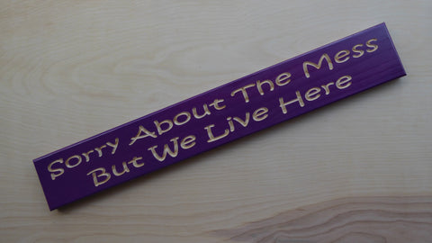 Sorry About The Mess, But We Live Here