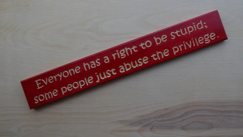 Everyone has a right to be stupid; some people just abuse the privilege.