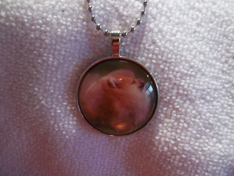 Silver Ball Chain Bubble Sideview Pomeranian Dog Necklace (N703)