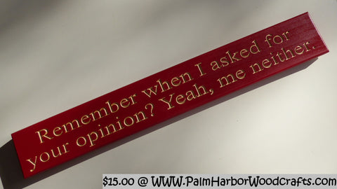 Remember when I asked for your opinion? Yeah, me neither.